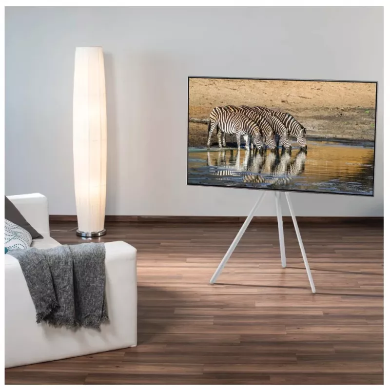 Hama 00220871 TV stojan/držiak 190,5 cm (75 palcov) biela