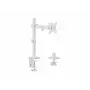 Equip 17 inch-32 inch kĺbový držiak na monitor na stôl, biely