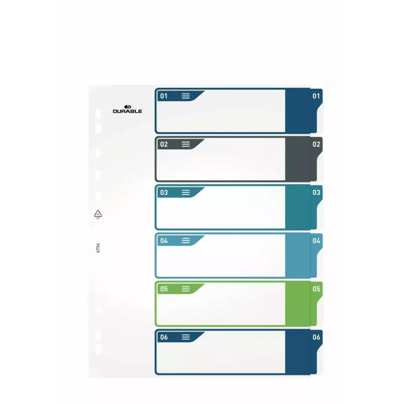 Čisté registre Durable 679427 polypropylén viacfarebné 30,5x24,5 cm