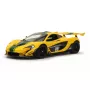 Cestné pretekárske auto Jamara McLaren P1 GTR