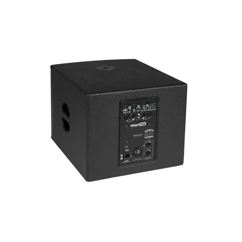 Aktívny subwoofer Omnitronic 11039050 čierny 500 W