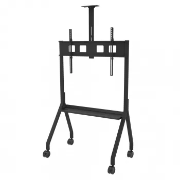 Peerless Paramount 190,5 cm (75 palcov) podlaha čierna