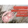 Unold ventilátor na krk Breezy Pink, ružový, 2 ventilátory, 8 h, ventilátor na krk, biely, 1 kus