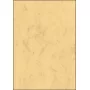 Kriedový papier Sigel DP262 100 listov béžový 90 g/m²