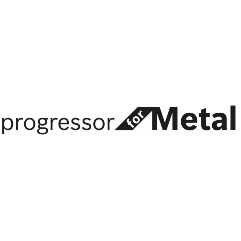 Bosch S 123 XF Progressor for Metal pláty na šabľovú pílu
