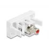 DeLOCK 90857 Keystone modul Cinch červený biely 22,5 mm 45 mm 33 mm