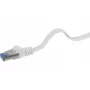 Sieťový kábel Renkforce RF-4149846 Cat6a U/FTP 5m sivý