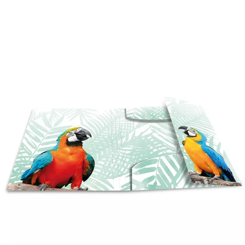 Bežný fascikel HERMA Tropical Clique A3