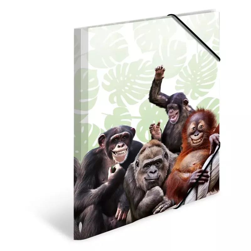 Bežný fascikel na dokumenty HERMA Monkey Gang polypropylén A3