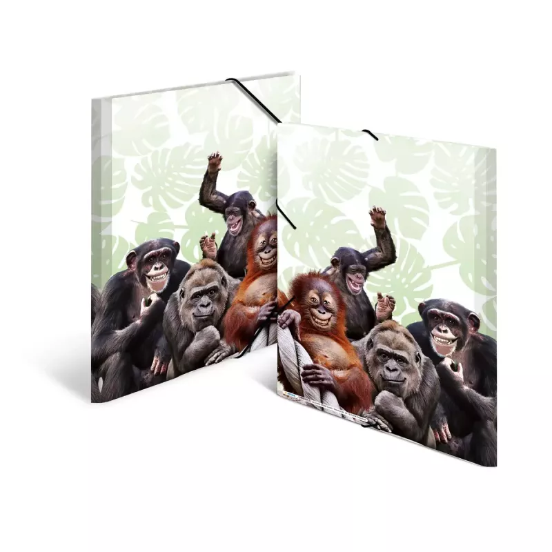 Bežný fascikel na dokumenty HERMA Monkey Gang polypropylén A3