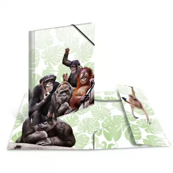 Bežný fascikel na dokumenty HERMA Monkey Gang polypropylén A3