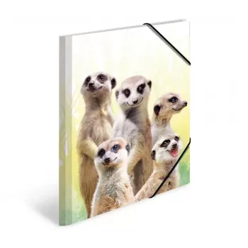 Bežný fascikel na dokumenty HERMA Erdmännchen-Clique