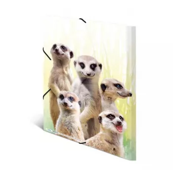 Bežný fascikel na dokumenty HERMA Erdmännchen-Clique