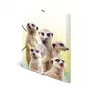 Bežný fascikel na dokumenty HERMA Erdmännchen-Clique