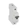 Legrand RX3 istič typ B 1