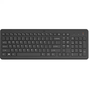 HP Wireless s 2.4 klávesnica Home RF Wireless čierna