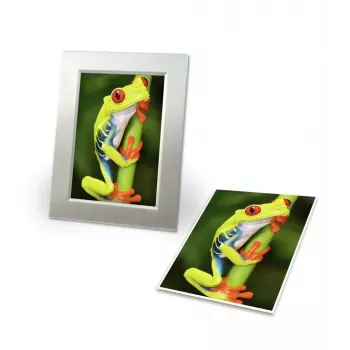 Fotopapier Avery C2549-20P lesklý
