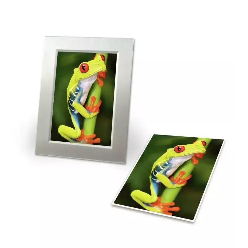 Fotopapier Avery C2549-20P lesklý