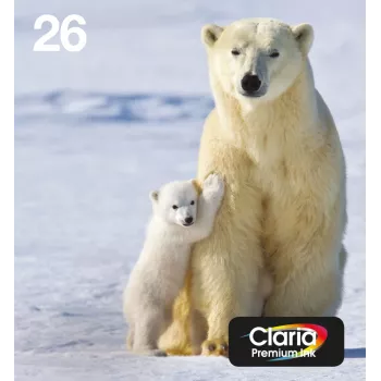 Epson Polar bear multipack 4-farebný 26 EasyMail, štandardná výťažnosť, čierna, azúrová, purpurová, žltá, pigmentový atrament, farbivo, 6,2 ml, 4,5 ml