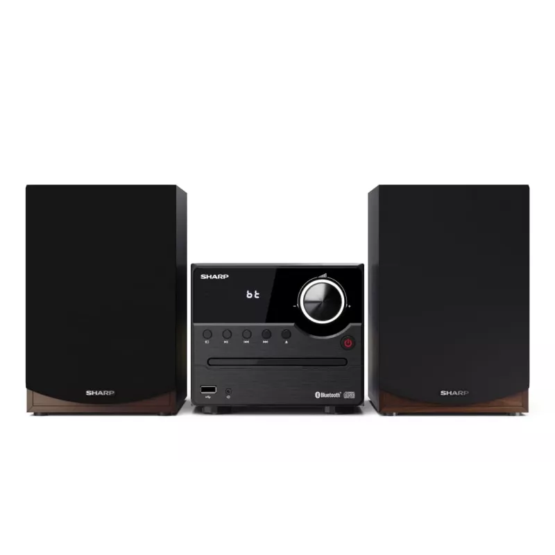 Sharp XL-B512(BR) domáci audio systém mikro audio veža 45 W hnedá