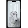 Smartphone Apple iPhone 17 Pro Max 6,9