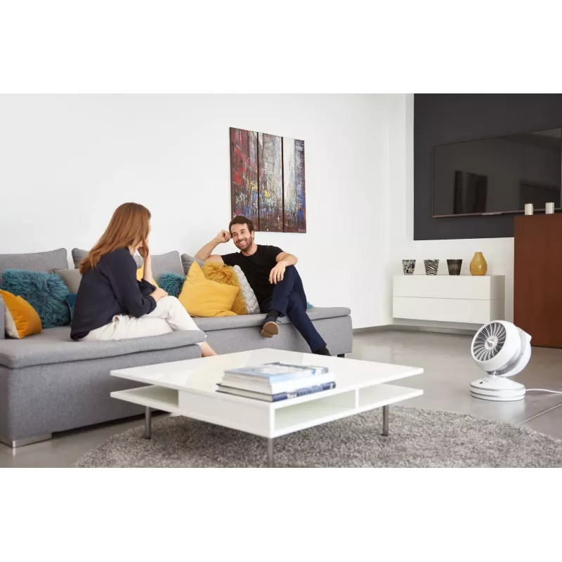 Rowenta HQ7152 interiérový biely, strieborný ventilátor elektrický ohrievač miestnosti