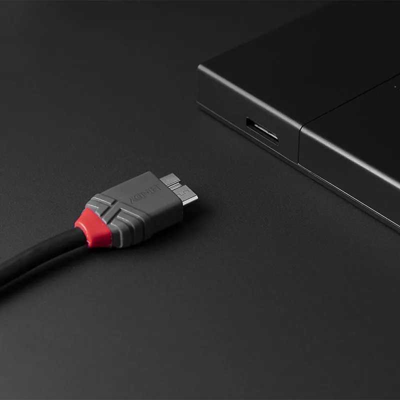 Lindy 2m kábel USB 3.2 typ C na Micro-B, Anthra Line, 2 m, USB C, Micro-USB B, USB 3.2 Gen 1 (3.1 Gen 1), čierny
