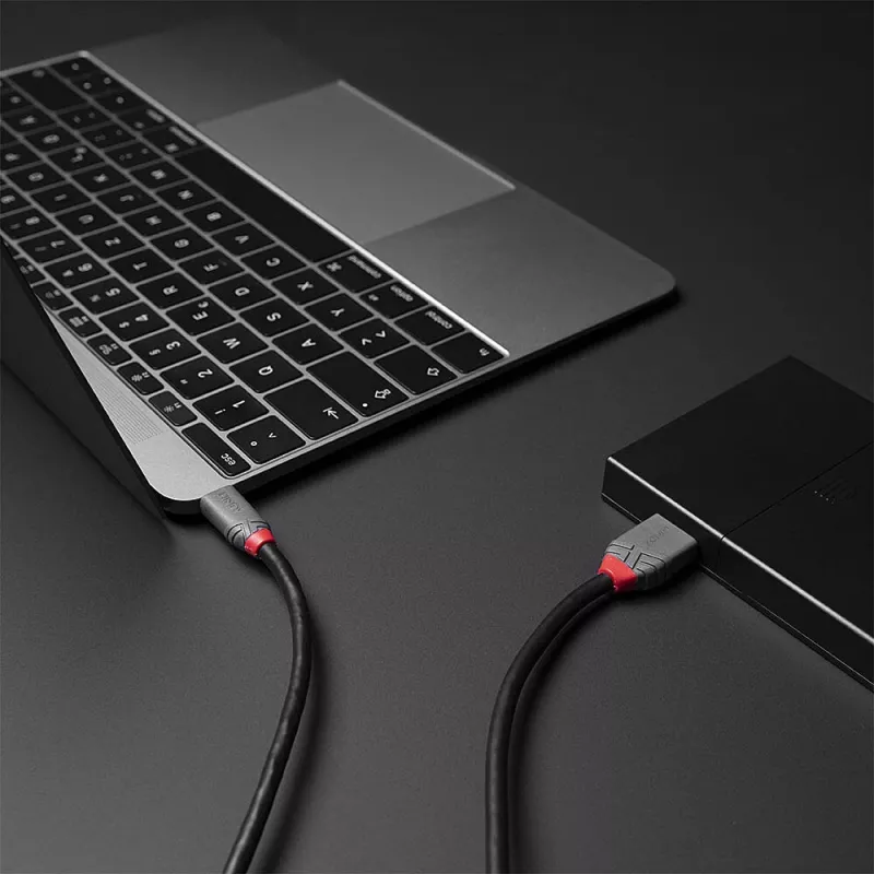 Lindy 2m kábel USB 3.2 typ C na Micro-B, Anthra Line, 2 m, USB C, Micro-USB B, USB 3.2 Gen 1 (3.1 Gen 1), čierny