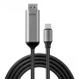 Lindy 43504 video kábel adaptér 2 m USB Type-C DisplayPort sivý