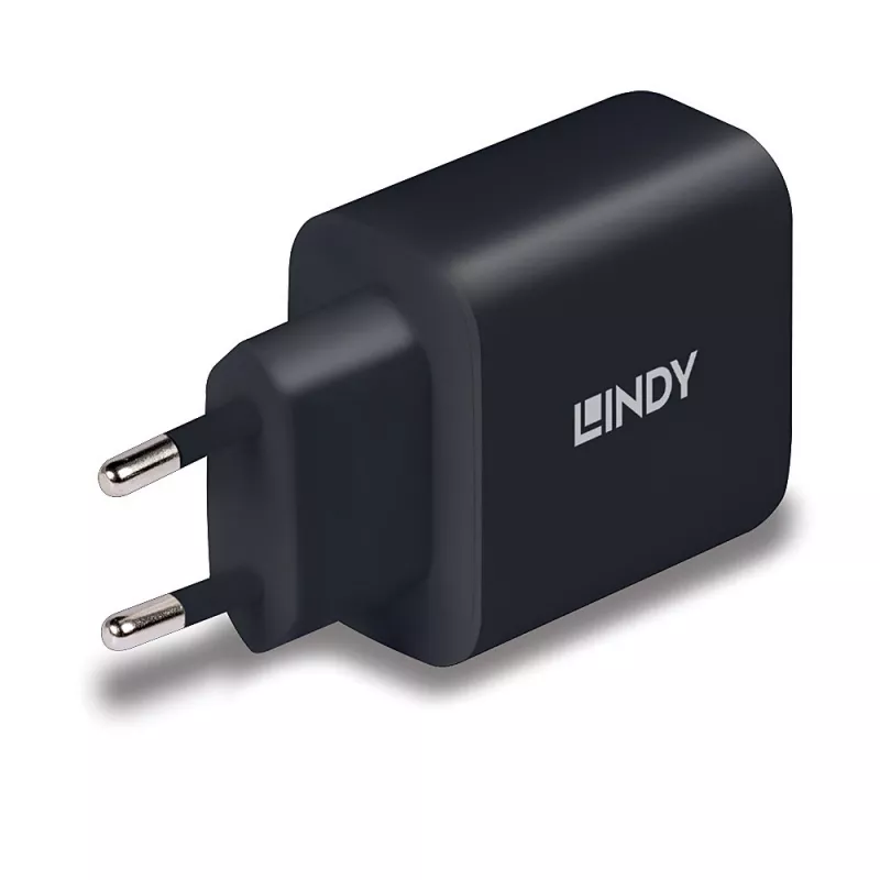 Lindy 73426 mobilná nabíjačka univerzálna čierna AC rýchle nabíjanie interiér