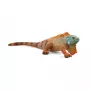 Schleich WILD LIFE leguán viacfarebný 14854 odporúčaný vek 3 roky