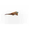 Schleich WILD LIFE leguán viacfarebný 14854 odporúčaný vek 3 roky