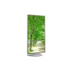 Sharp MultiSync EA272U počítačový monitor 68,6 cm (27 palcov) 3840 x 2160 pixelov 4K Ultra HD LCD biely