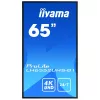 Digital-Signage displej IIYAMA LH6552UHS-B1 64,5 palca IPS 4K 3840x2160 500 cd/m² Android 8.0 24/7 čierny