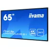 Digital-Signage displej IIYAMA LH6552UHS-B1 64,5 palca IPS 4K 3840x2160 500 cd/m² Android 8.0 24/7 čierny