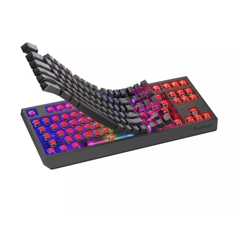 GENESIS Thor 230 TKL klávesnica herná USB + RF Wireless + Bluetooth QWERTZ čierna