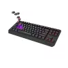GENESIS Thor 230 TKL klávesnica herná USB + RF Wireless + Bluetooth QWERTZ čierna