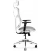 Ergonomická kancelárska stolička Diablo Chairs V-Basic biela-sivá – nastaviteľná výška a sklon, podrúčky, bedrová opierka