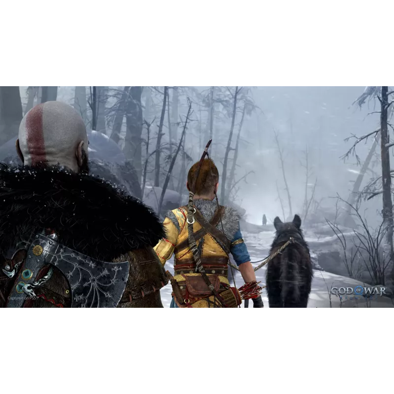 Sony God of War Ragnarök, PlayStation 5, M (Mature), fyzický nosič