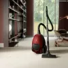 Electrolux PD82-ANIMA 3,5 L cylindrický vysávač suchý 600 W vrecko na prach