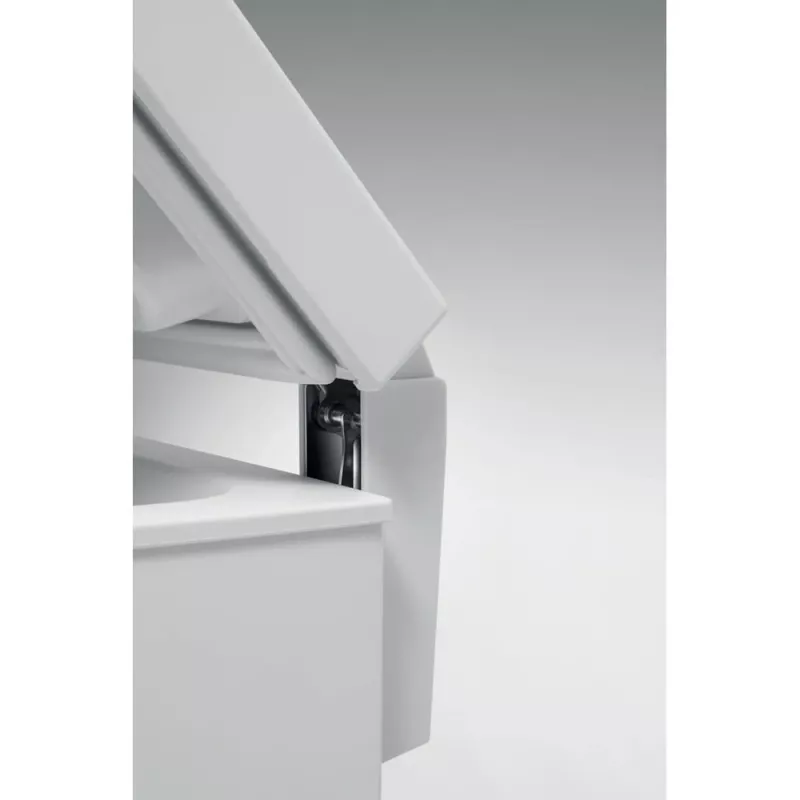 Whirlpool WHE 4602 mraznička voľne stojaca 437 L biela