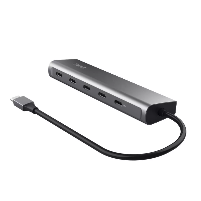 Trust Halyx USB 3.2 Gen 1 (3.1 Gen 1) Type-C strieborná