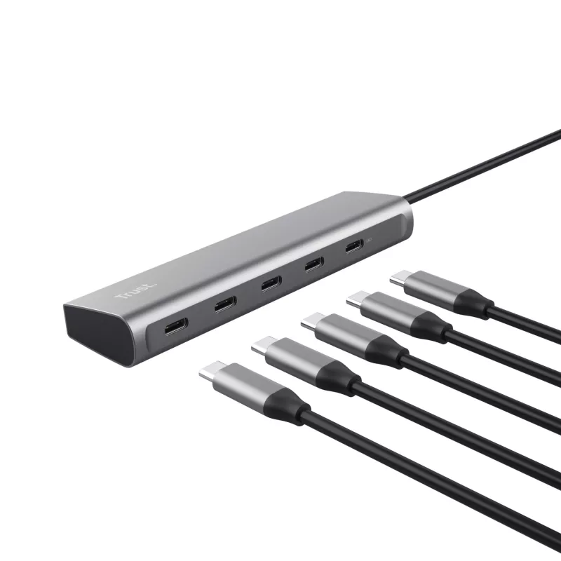 Trust Halyx USB 3.2 Gen 1 (3.1 Gen 1) Type-C strieborná