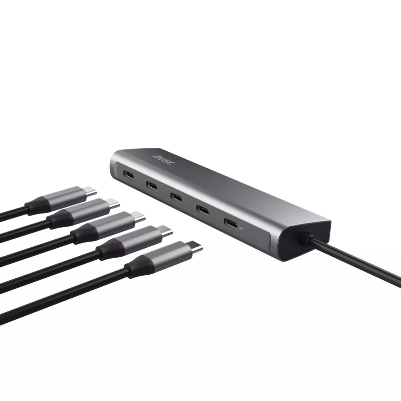 Trust Halyx USB 3.2 Gen 1 (3.1 Gen 1) Type-C strieborná