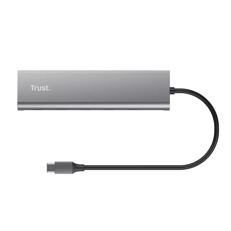 Trust Halyx USB 3.2 Gen 1 (3.1 Gen 1) Type-C strieborná