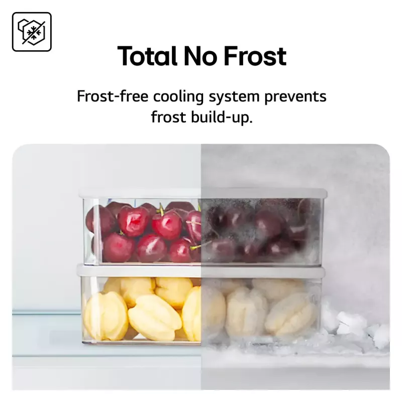 LG NatureFRESH GSBC40PYPE americká chladnička s mrazničkou – Prime Silver – energetická trieda E