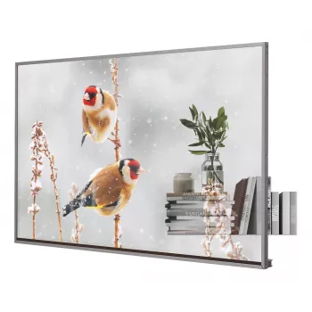LG 55EW5P-M Signage Display 139,7 cm (55