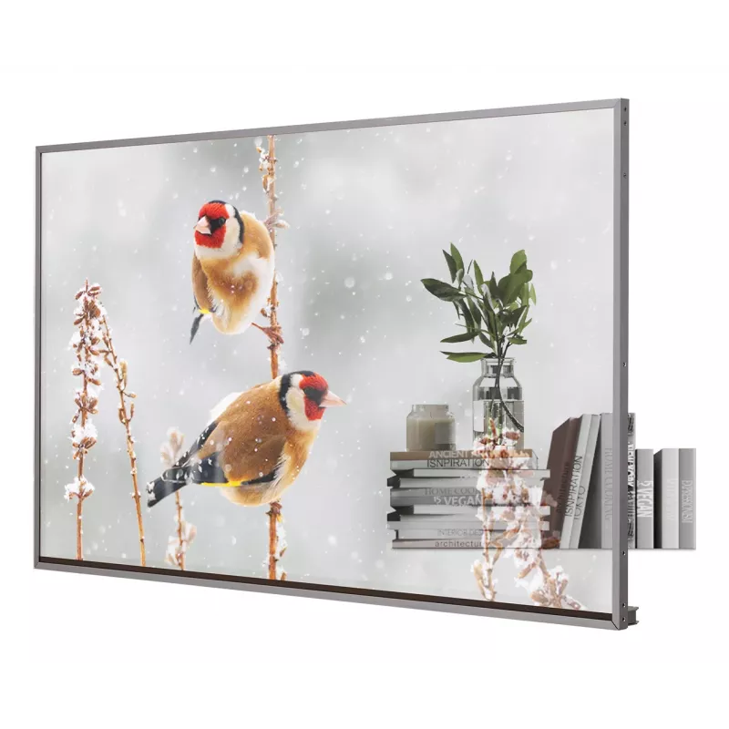 LG 55EW5P-M Signage Display 139,7 cm (55