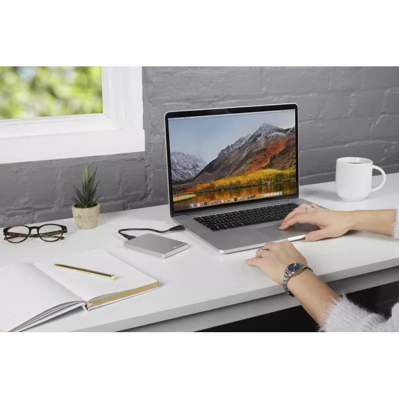 Verbatim Store 'n' Go ALU tenký prenosný pevný disk 1 TB strieborný