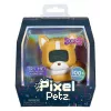 MGA Entertainment Pixel Petz - Corgi v PDQ